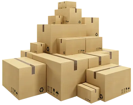Professional Mover